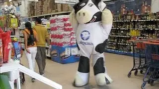 Manchitas, the dancing cow (Yo Amo a México)