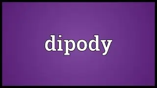 Dipody Meaning