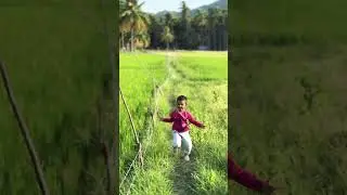 Amazing Rice Paddy Field #scenicviews #natureatbest 🥰🌾 #greenery 💚