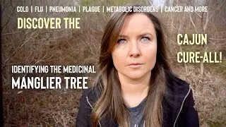 Health Benefits of the Manglier Tree. Remedy for Cold, Flu, Pneumonia, Plague... How to Identify it