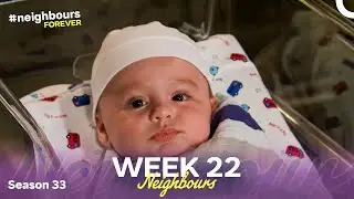 WEEK 22 | Episodes 7616-7620 | Neighbours 2017 (Season 33)