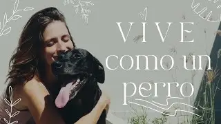 10 pasos para una vida sencilla (y FELIZ)🤍 | Cuando lo urgente quita tiempo a lo importante