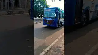 💫MO BUS💫 💗START IN BERHAMPUR TOWN 💗 #odishabus #mobus #crut #urbontrasport #bus @DhanuluBus