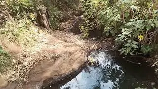 Sad! Environmental Death! Kaptokwoi river.