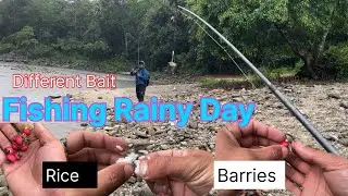 Fishing on a Rainy Day with different Bait for Mahseer// Arunachal Fishing Vlogs, Arunachal Angler.