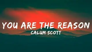 Calum Scott - You Are The Reason (Lyrics)