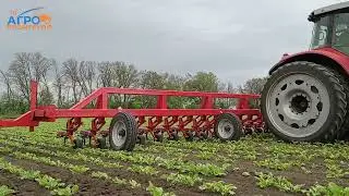 Культиватор для свеклы широкозахватный УСМК-10,8(24х45).  ООО 