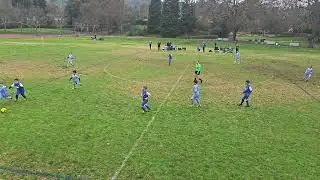 Game 6.1 AYSO 2C Alliance vs SURF Select 2/03/2024