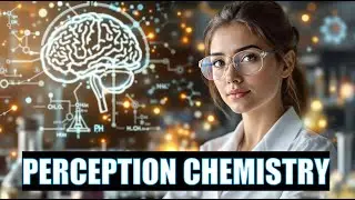 How Brain Chemistry Shapes Emotions, Perception, and Reality