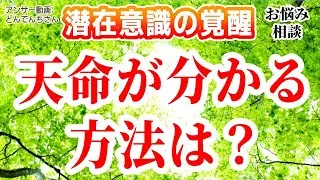 天命が分かる方法[潜在意識 覚醒 ブロック解除 書き換え方 引き寄せの法則 ハイヤーセルフ 波動 スピリチュアル パラレルワールド 悟り アセンション 宇宙意識 仮想現実 統合 解脱 運命 宿命 神