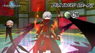 Update Build Dual Sword STR-AGI level 300 | Toram Online