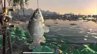 Fishing Master | Android/IOS Gameplay ( Realistic Graphics )