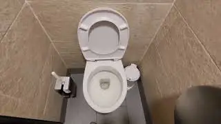 Richter & Frenzel WC seat toilet lid
