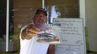 3 Best Summer Inshore Fishing Tips| Fishyourassoff.com