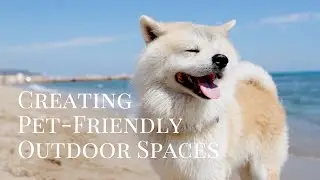 Weichert Realtors The Place of Houses - Pet Friendly Backyard Ideas Corpus Christi
