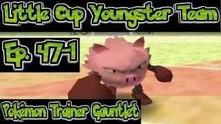 Pok&eacute;mon Trainer Gauntlet 47-1 Little Cup Youngster Team, Pok&eacute; Cup Pok&eacute; Ball Division
