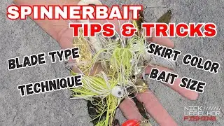 Bass Fisherman Forget About THIS Bait! - Spinnerbait Tips & Tricks!!