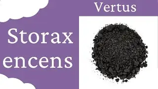 Storax : Encens en Magie et Rituel par Aurore M&eacute;dium - L' Aurore C&eacute;leste