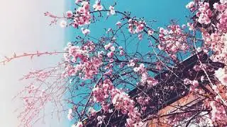 [FREE] Frank Ocean Type Beat 2018 - 