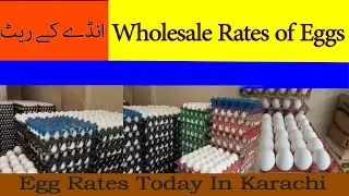 Egg Rates In Karachi | Egg Rates Today In Karachi Pakistan | Wholesale Egg Price |  Hello Views