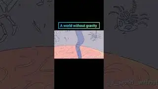 A World without Gravity#science #Gravity #imagination #anime