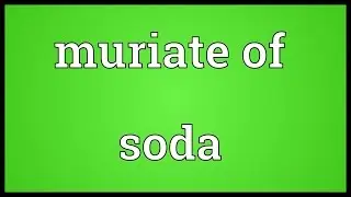 Muriate of soda Meaning
