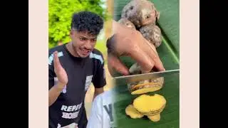 🤣👌2026 pov Must-Watch Crazy Clips Compilation #humor #fypシ #pov #fyp #foryou 😍😜