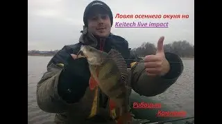 Ловля осеннего окуня на keitech live impact