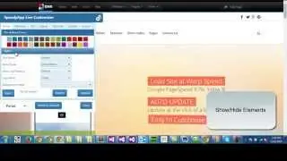 Speedy Customizer Intro - NEO Dotnetnuke Theme - SpeedyApplication.com