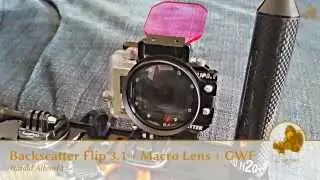 Backscatter Flip 3.1 Green Water Filter & +10 Macro Lens