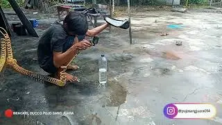 Proses carbon Celup item Dasbort #Piaggio ( LIBERTY ) Part 2