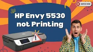 HP Envy 5530 not Printing [Fixed] | Printer Tales
