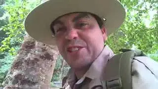Yurok Language Interpretation