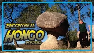 🍄Encontré un HONGO DE PIEDRA🌄camino a SEGUNDA USINA | Embalse Calamuchita Cordoba.