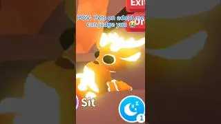 POV- If pets on adopt me could judge you 😭😂 #adoptme #roblox #shorts #funny #pov #fyp #trending