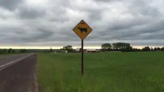 UP alien abduction road sign
