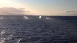 Huge Competition Pod