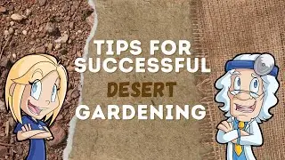 Tips for Successful Desert Gardening: Understanding Soil pH and Overcoming Caliche Challenges