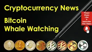 Cryptocurrency News - Bitcoin Whale Watching