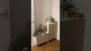 Schuhschrank Idee IKEA 😻
