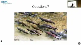 Portland Harbor Programmatic Biological Opinion 9 12 25 Collaborative Meeting