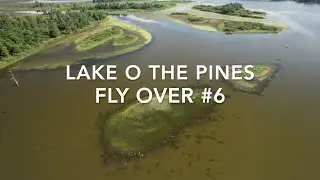 Lake O the Pines #6