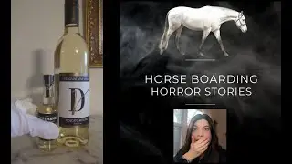 Terrible riding arena footing maintenance horse boarding horror story