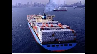 The state of the world trade system