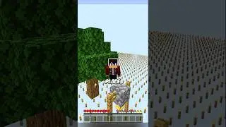 Minecraft But The World Is Torch🔦