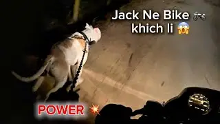 Jack Ne Bike 🏍️ Khich Li 😱 || Dogs vlog 