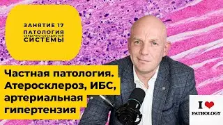 Частная патология. Патология сердечно-сосудистой системы - краткий обзор занятия №17