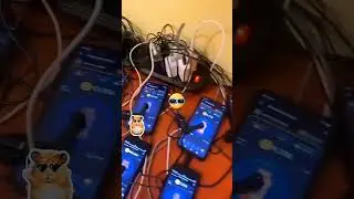 Tap tap MINING on the next level #tap #hamsterkombat #tapswap #Notcoin #DjRonzy
