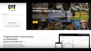Всё об отчётах в My.Cat.Com