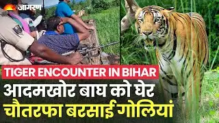 Tiger Encounter in Bihar: 6 महीने में 9 जान लेने वाले आदमखोर बाघ का हुआ अंत | Valmiki Tiger Reserve